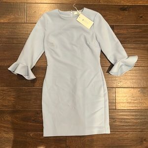 Likely, Emmett baby blue long sleeve dress